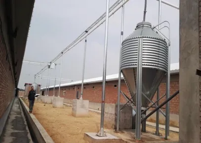 Poultry Breeder Floor Raising Feeding Equipment