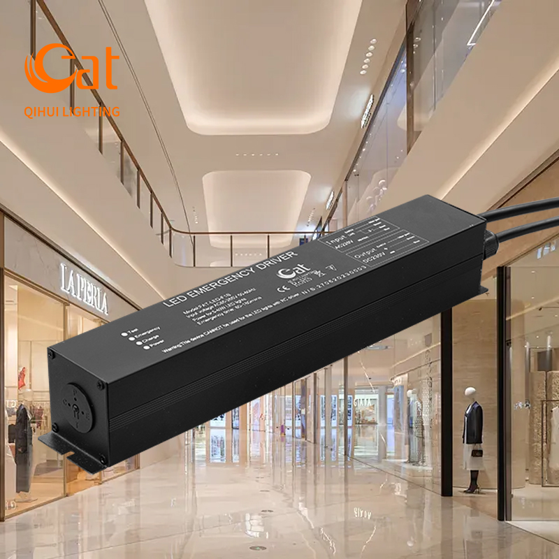 Rechargeable Battery Management Function LED Emergency Power Supply AC-DC Energy Transfer With Multiple Output Options