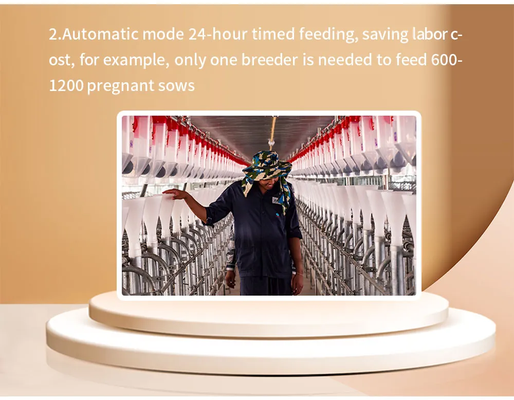 High Efficiency Equipment Automatic Pig Feeding System