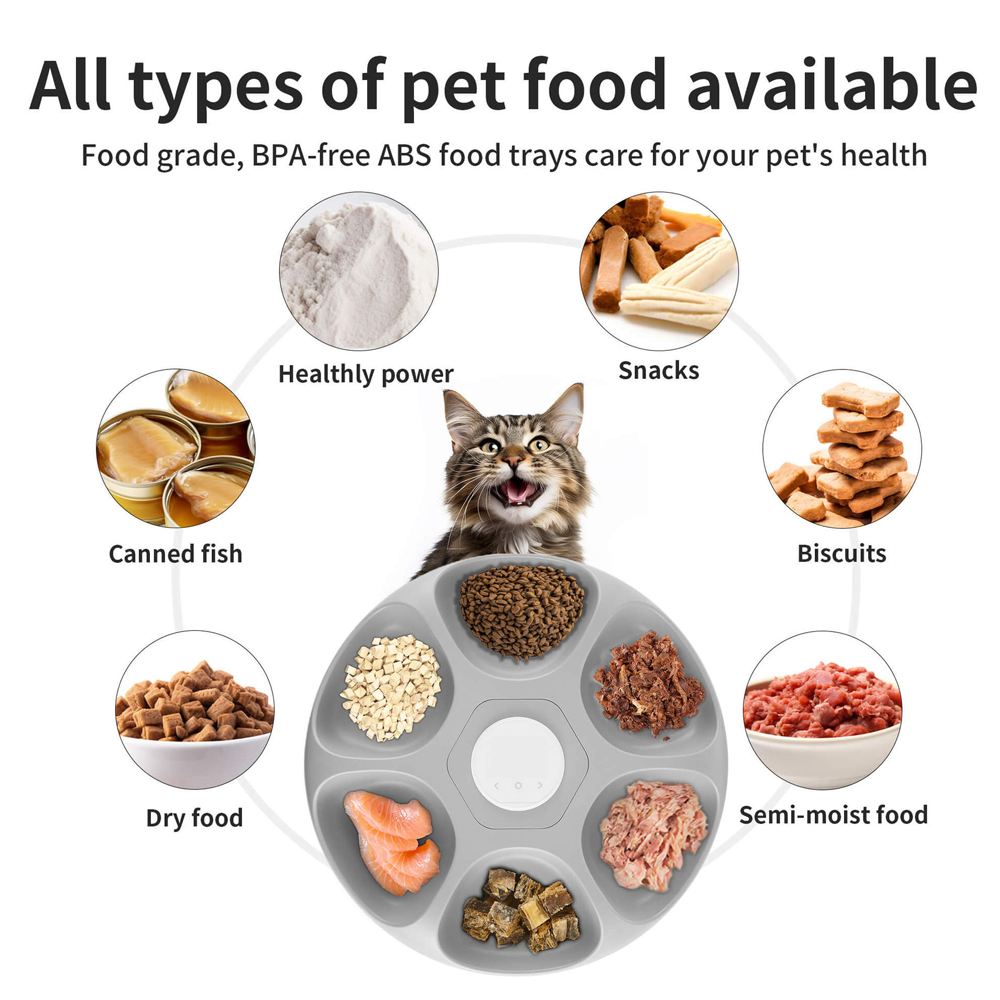 Automatic Smart WIFI Pet Feeder for Dry/Wet Food with Smart Timer Portable Modern Stylish Design for Cats &amp; Small/Medium Dogs