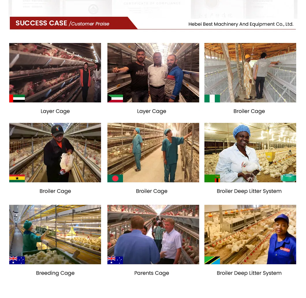 Production Process