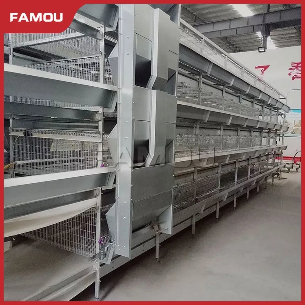 Automatic Poultry Equipment H Ladder Type Poultry Chain Trolley Feeding Silo System