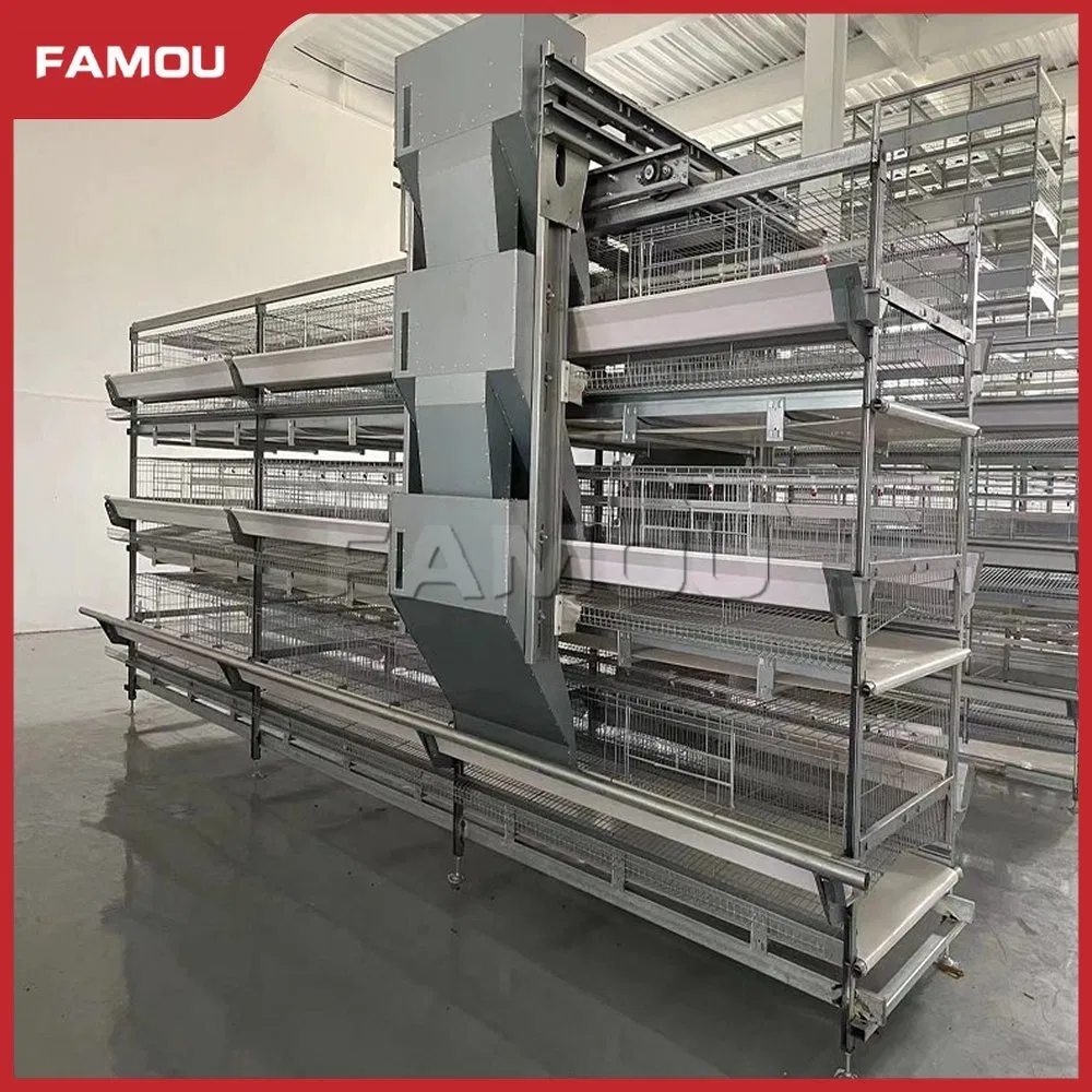 Automatic Poultry Equipment H Ladder Type Poultry Chain Trolley Feeding Silo System