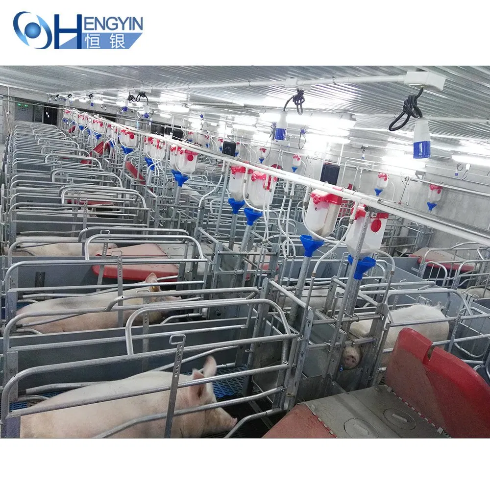 High Efficiency Equipment Automatic Pig Feeding System