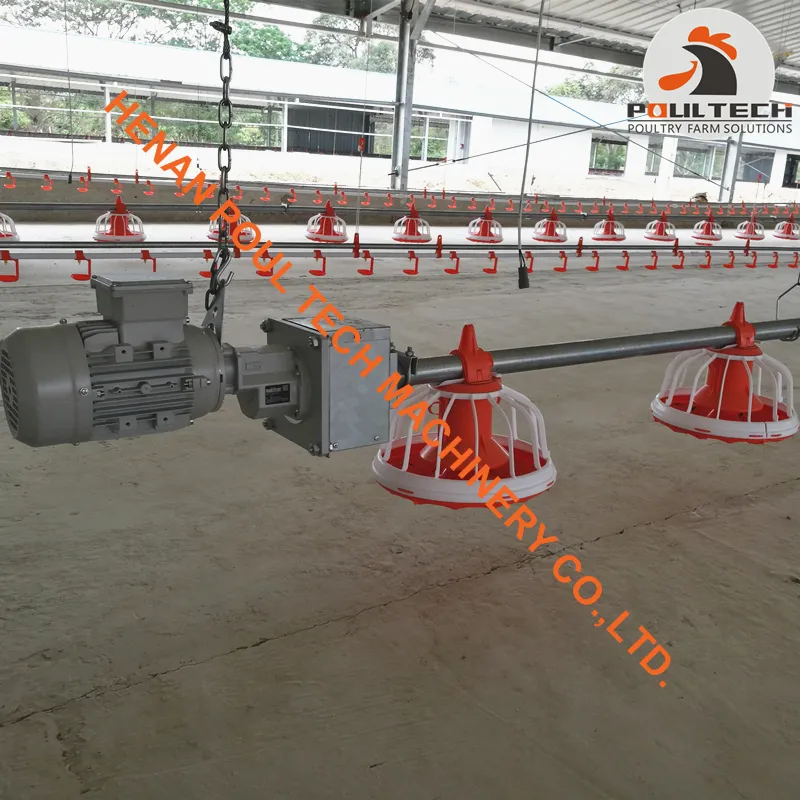 Automatic Feeding Pans