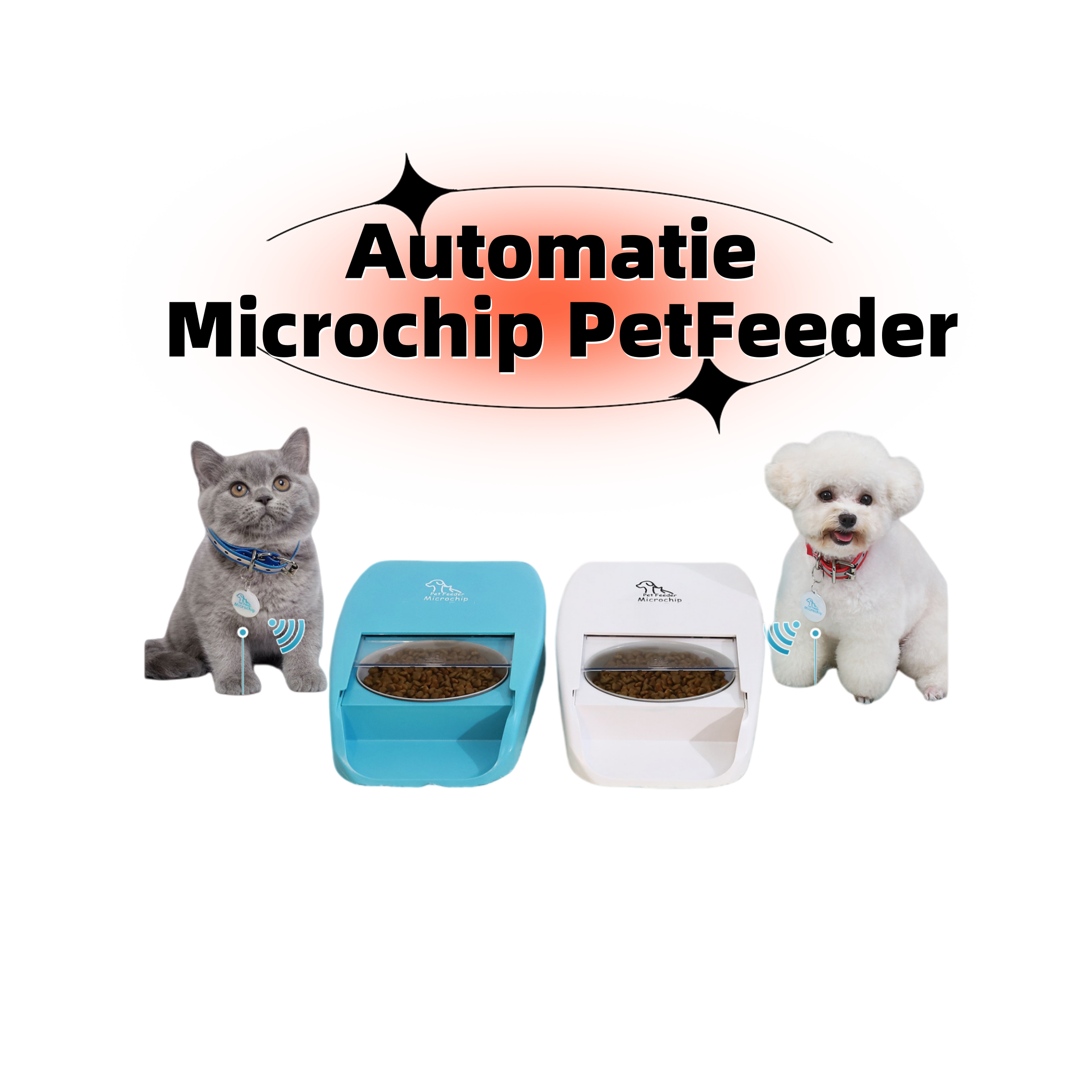 Product Details 4