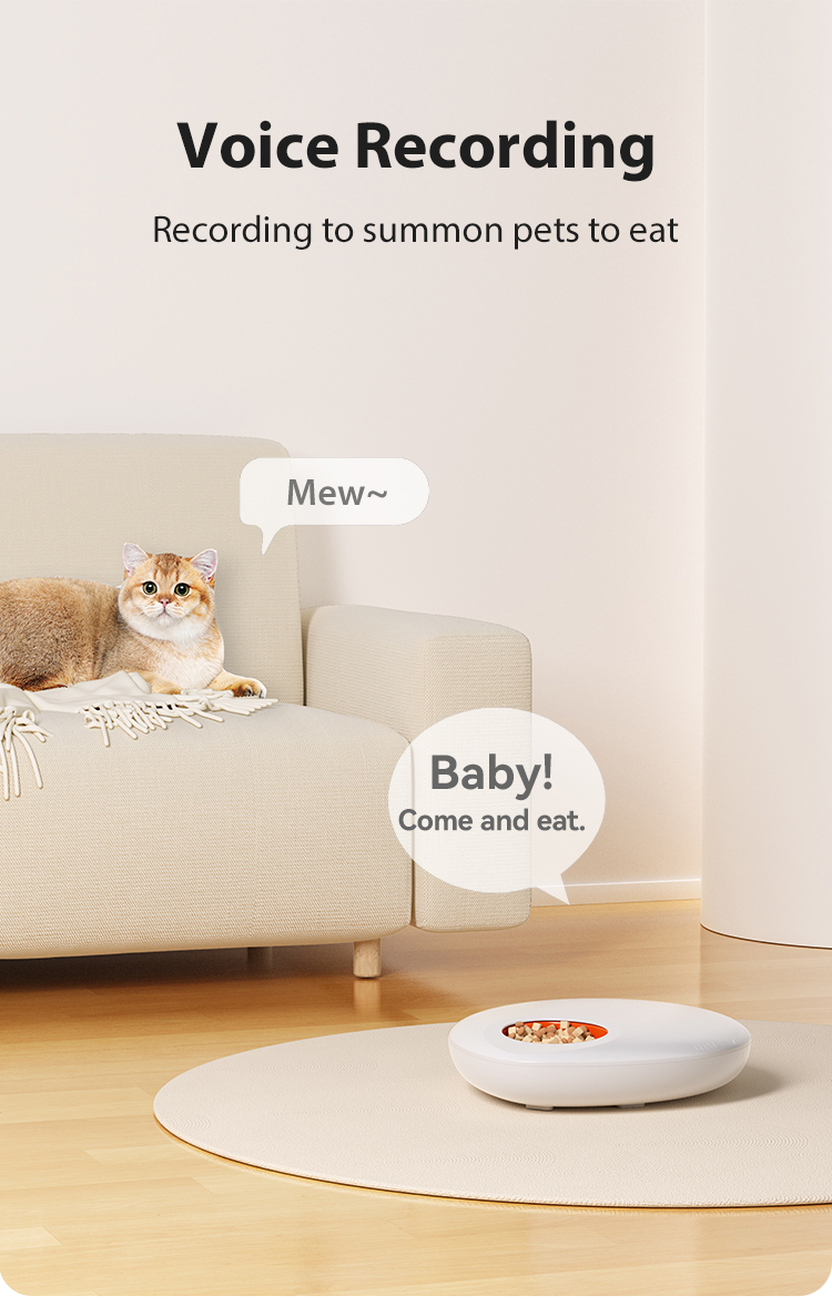 Pet Product Showcase 5