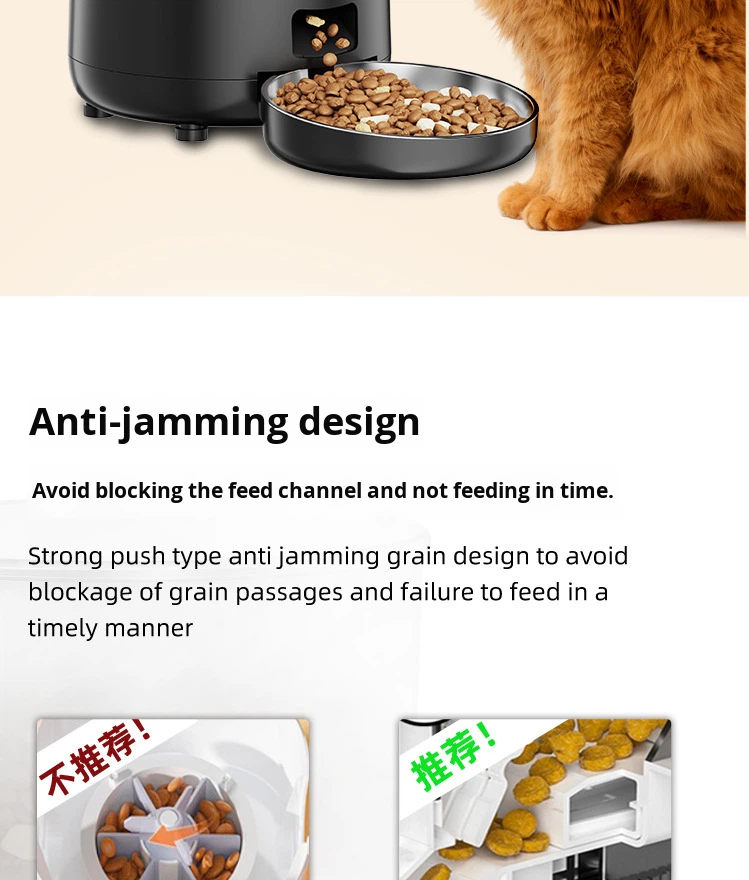 Pet Product 13