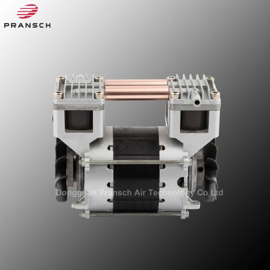 Oil Free Piston Vacuum Pump Detailed View