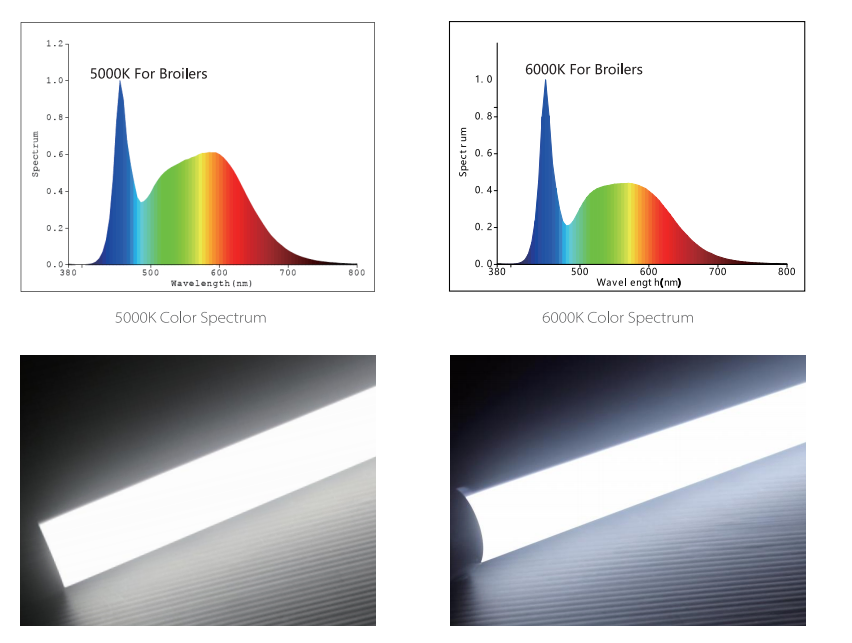 Lighting System Spectrum
