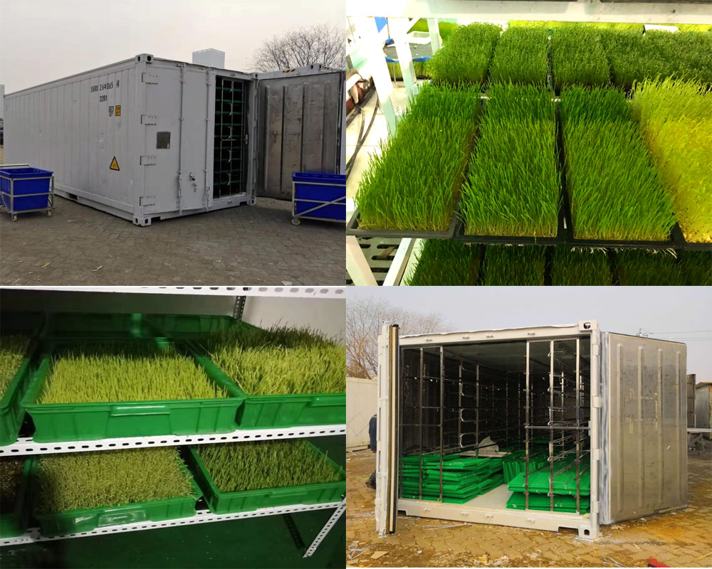 Hydroponics Container Intelligent Control Farming Microgreen Barley Fodder System Container Full Automated Fodder System