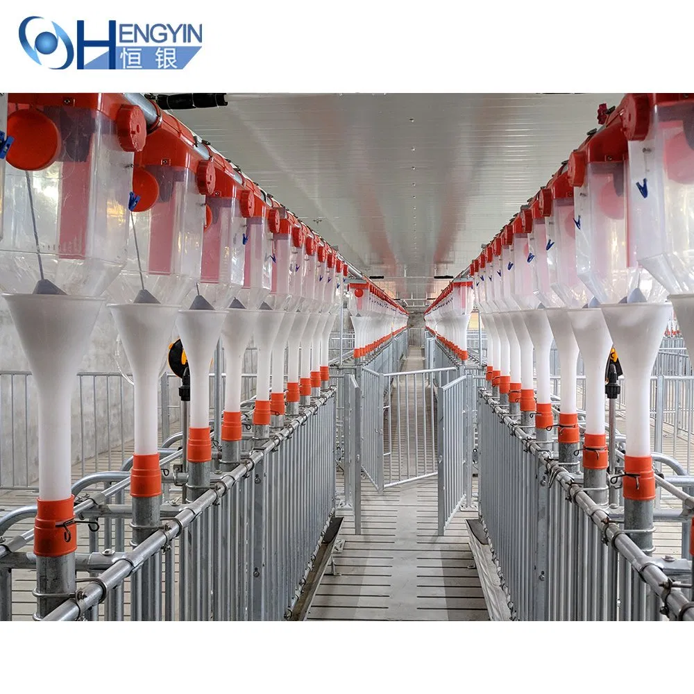 High Efficiency Equipment Automatic Pig Feeding System