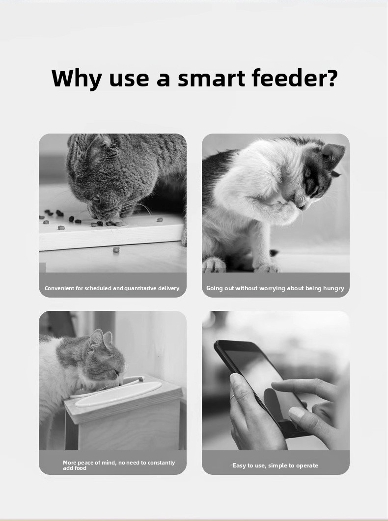 APP Controlled Automatic Pet Feeder Timer Food Dispenser with Camera Dual Stainless Steel Bowls for Cat Dog Scheduled Feeding