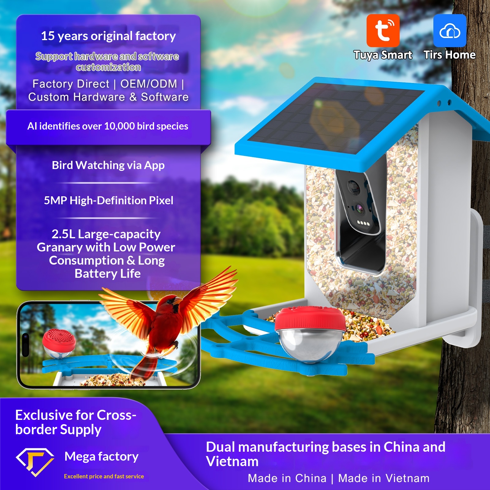 Network Camera Smart Bird Feeder AI Recognition for 10k Species Detachable Design Tuya/Tirs Home App Support Source Factory
