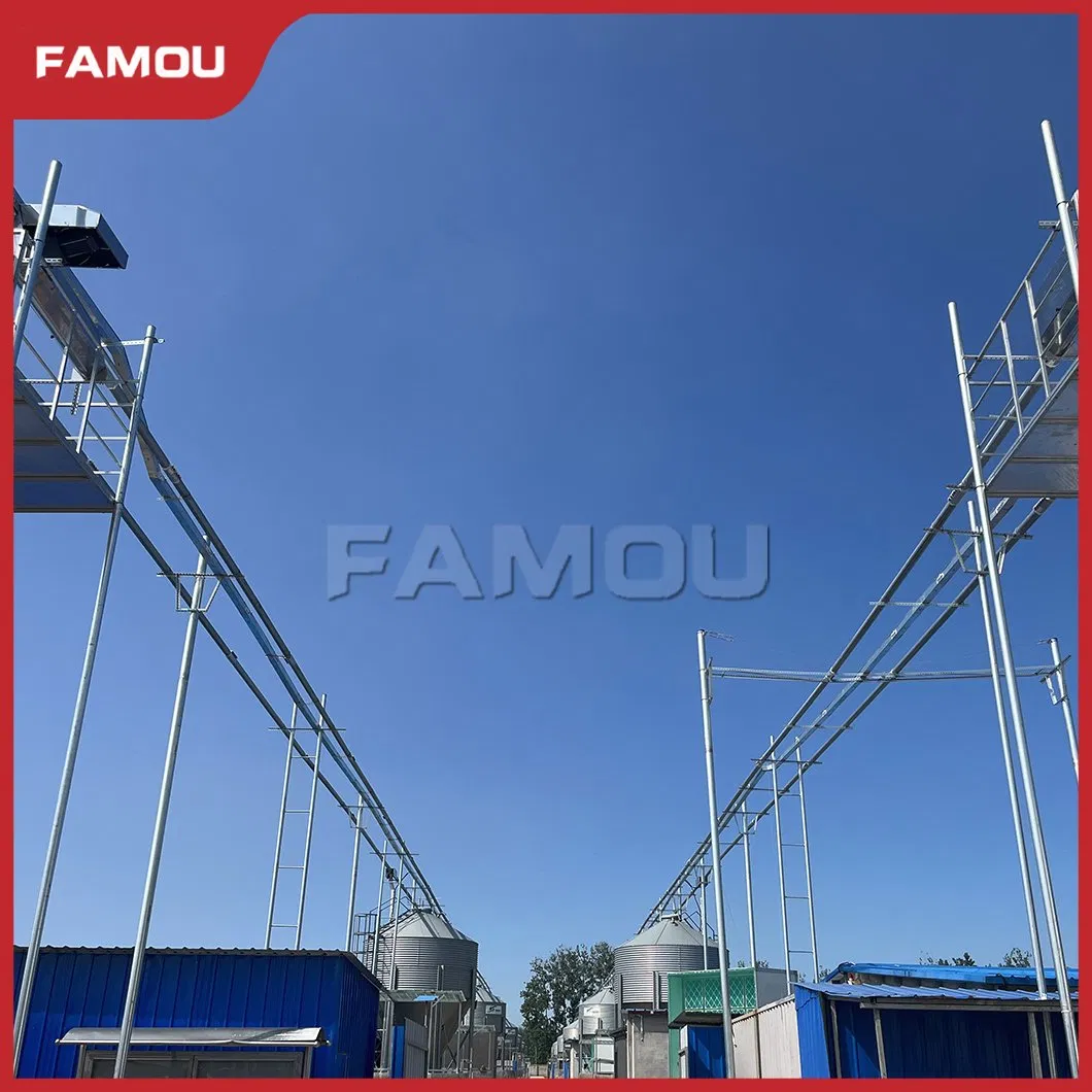Famou Poultry Equipment 102mm Automatic Chain Feeding System Used in Poultry Pan Feeding System