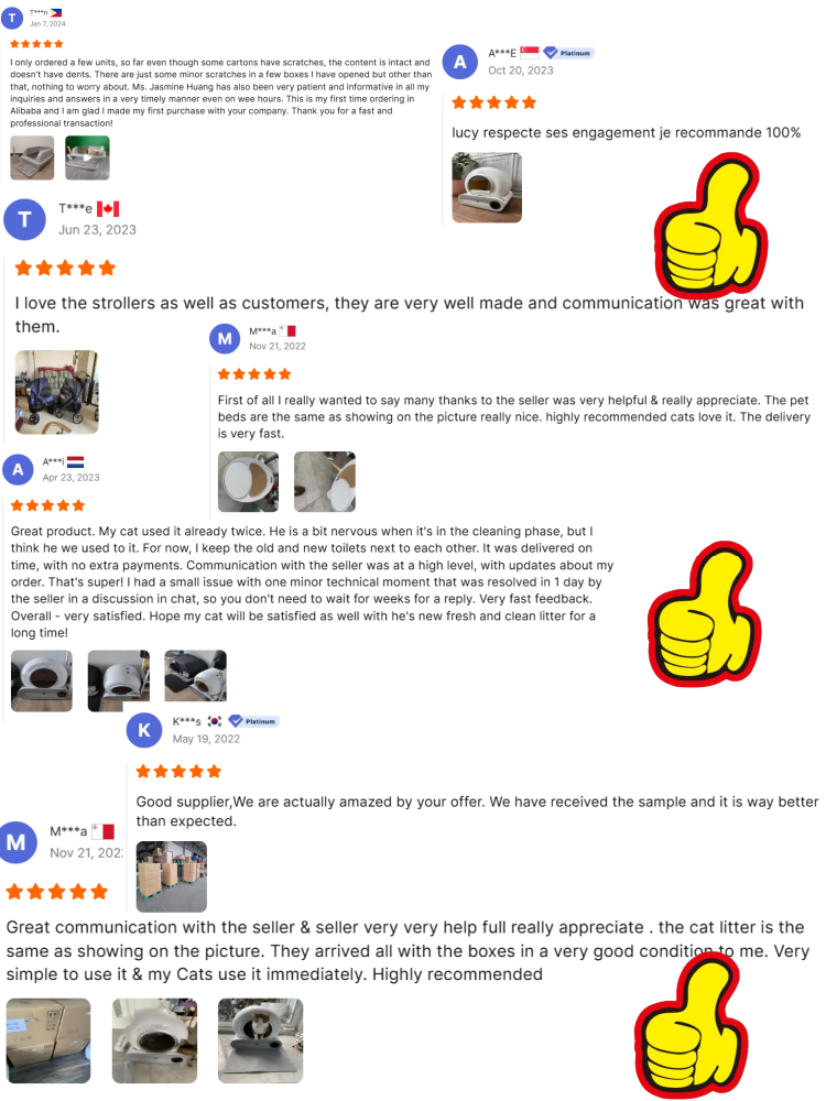 Customer Feedback Summary