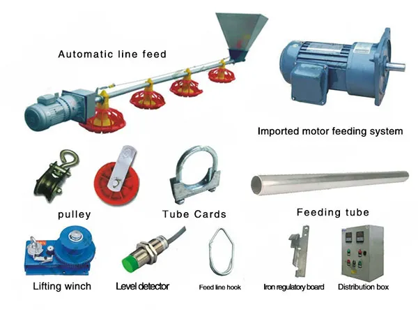 High-Efficiency Automatic Auger Feeding System for Broiler Farms