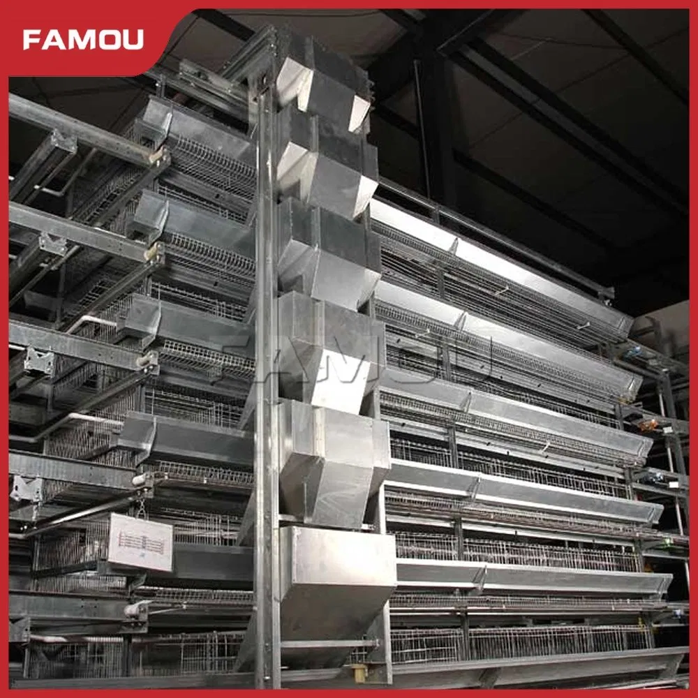 Automatic Poultry Equipment H Ladder Type Poultry Chain Trolley Feeding Silo System