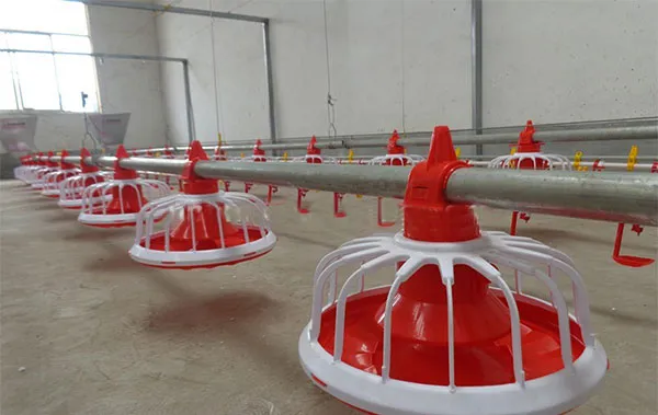 Automated Poultry Farming Feeding System with 14 Cells Stainless Steel