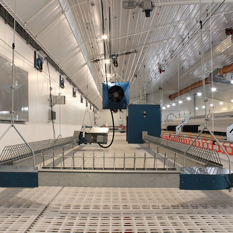 Auto Flat Chain Feeding System for Breeder