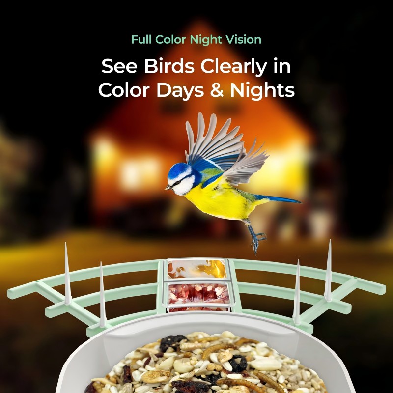 Smart Bird Feeder Multi View
