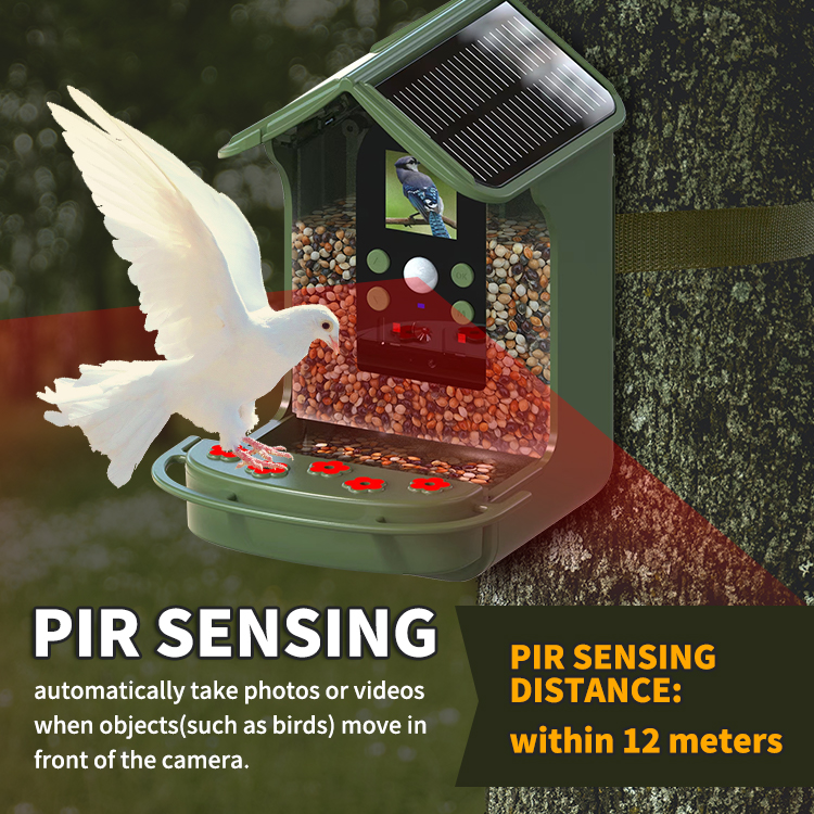 Bird Feeder Camera Detailed View 7