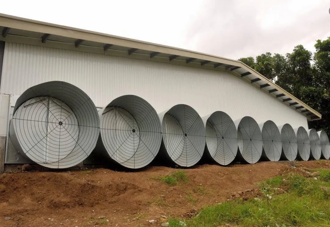 Automated Poultry Farming Feeding System with 14 Cells Stainless Steel