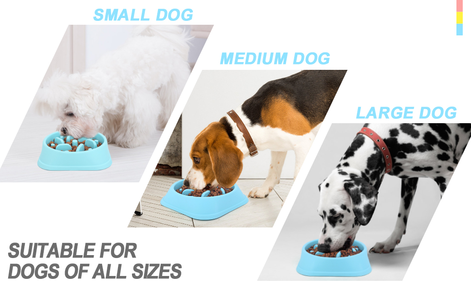 Pet Bowl Highlight 2