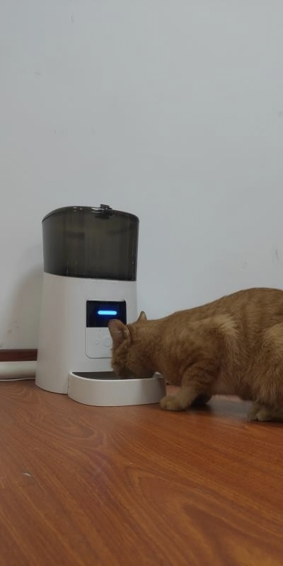 6L Smart HD Camera Voice Recording ABS Dual Power Pet Feeder