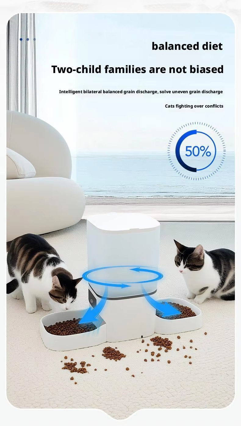 Product View 6