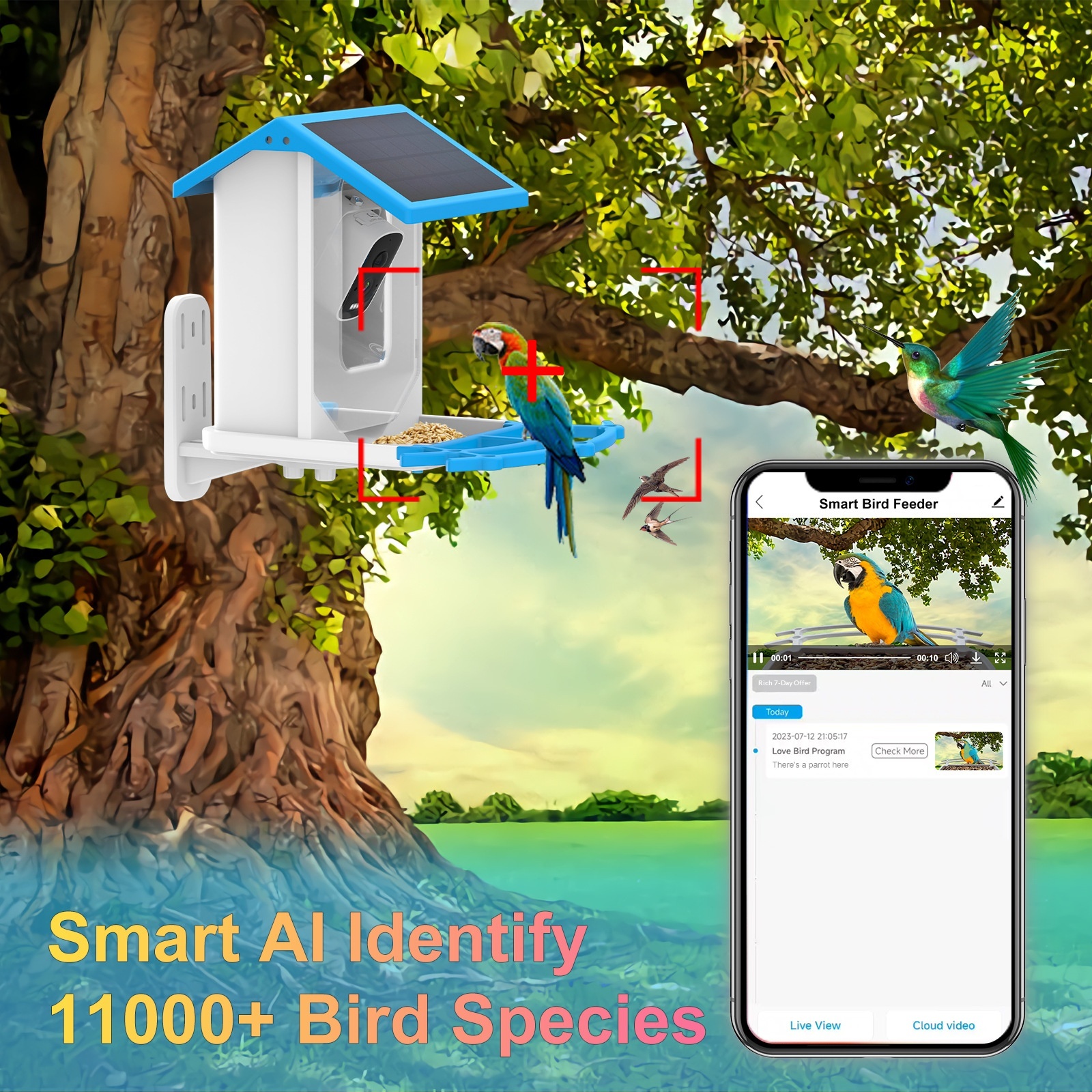 Network Camera Smart Bird Feeder AI Recognition for 10k Species Detachable Design Tuya/Tirs Home App Support Source Factory