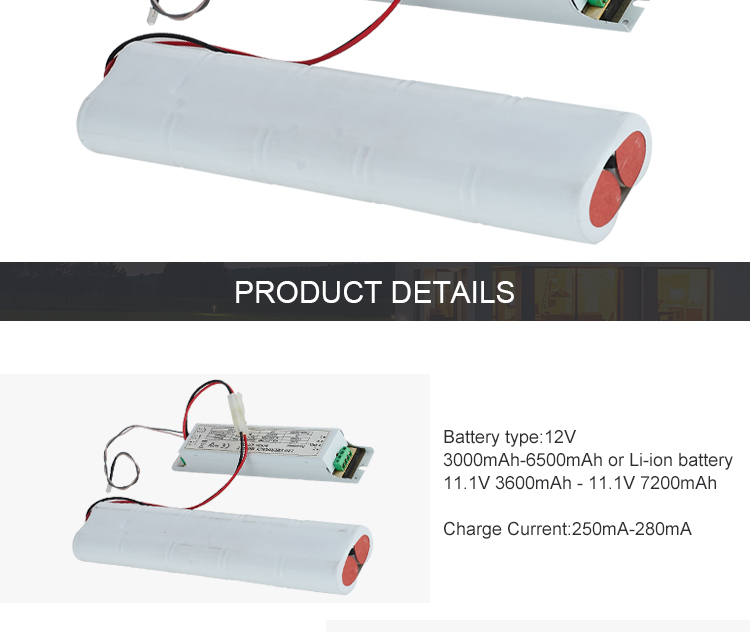 Emergency Battery Power Supply Module