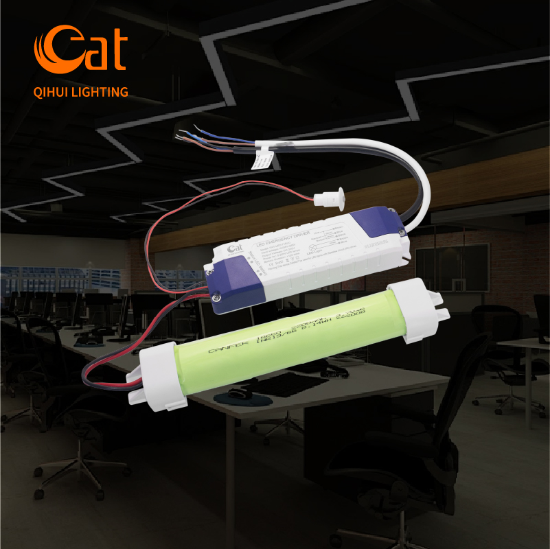Reliable Lithium 5-20W Emergency Battery Backup System All in One Rechargeable Overcharge Protection Emergency Light Driver