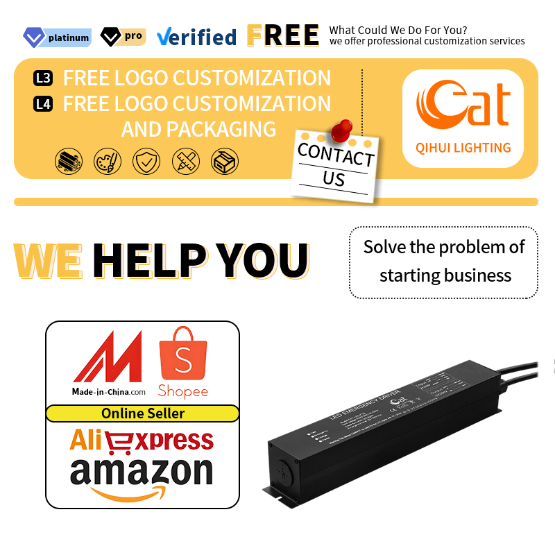 Rechargeable Battery Management Function LED Emergency Power Supply AC-DC Energy Transfer With Multiple Output Options