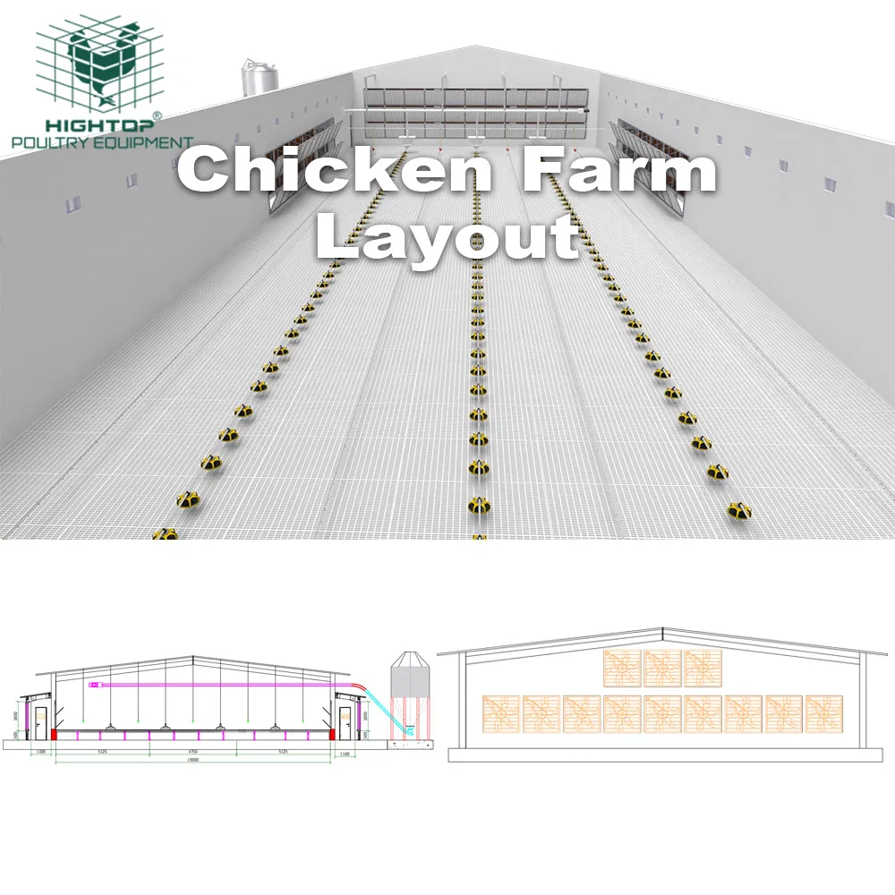 Poultry Farm Broilers Feeder Pan Equipment Fully Automatic Chicken Feeding Line System