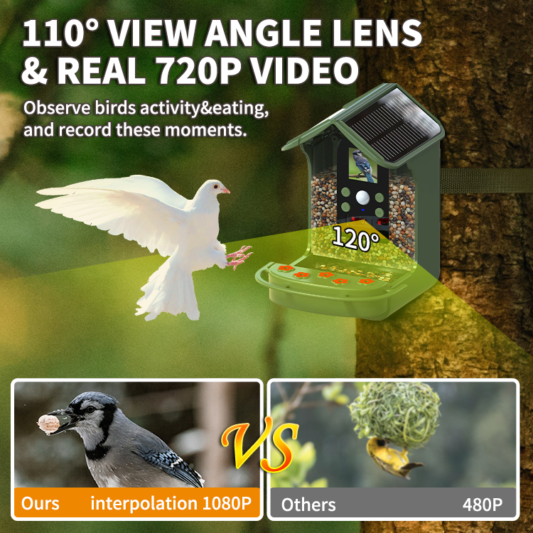 Bird Feeder Camera Detailed View 5