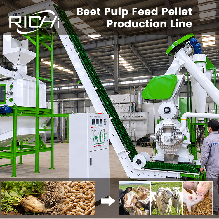 RICHI Beet Pulp Pellet Machine Plant Turnkey Feed Processing System With Customized Capacity And Design