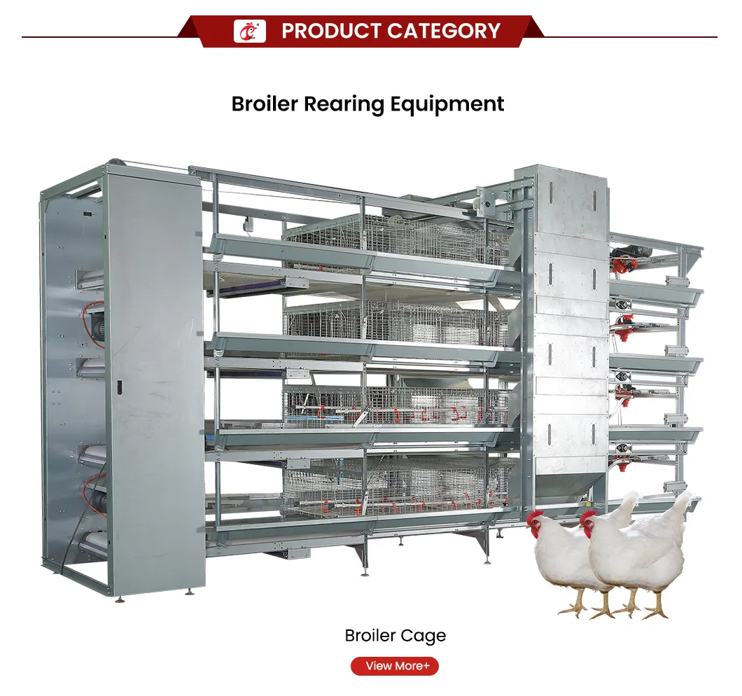 Automatic Feeding System