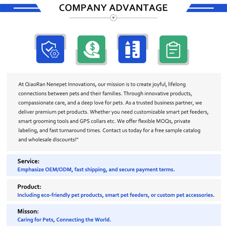 Our Advantages Infographic