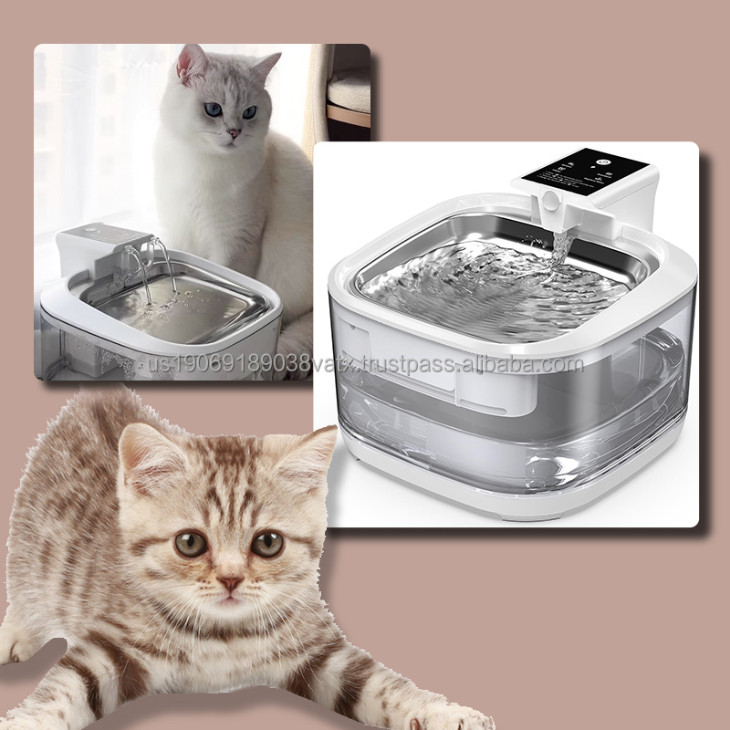 Detailed View of Premium Pet Product 1