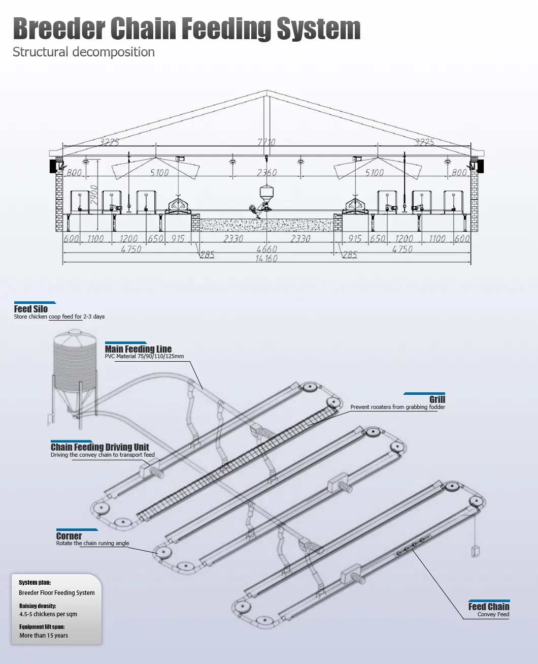 Auto Flat Chain Feeding System for Breeder Layout