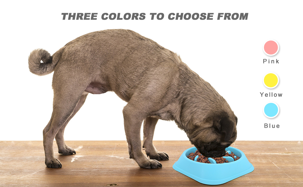 Pet Bowl Highlight 3
