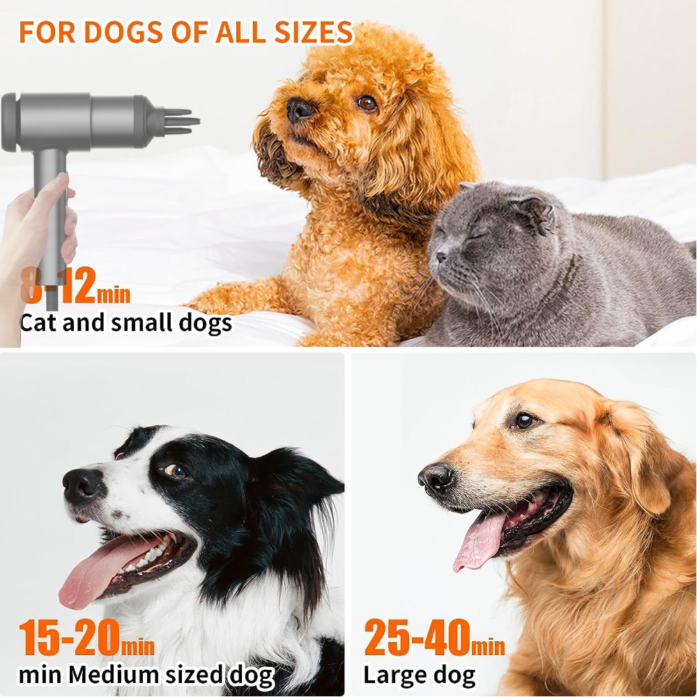 2-in-1 Pet Hair Dryer
