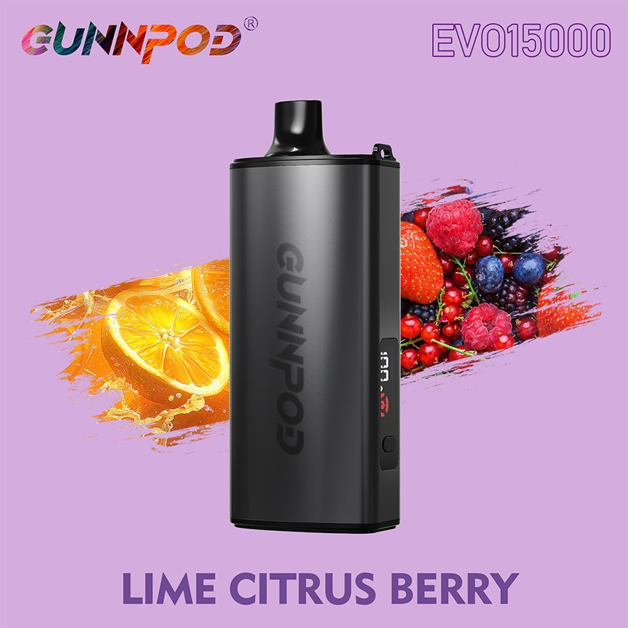 Cheap Price Wholesale Gunnpod Evo 15000 Puffs Vaping Mode Switch Pod Kit 2500mAh Long-Lasting Battery Life Disposable Vape with Smart Screen