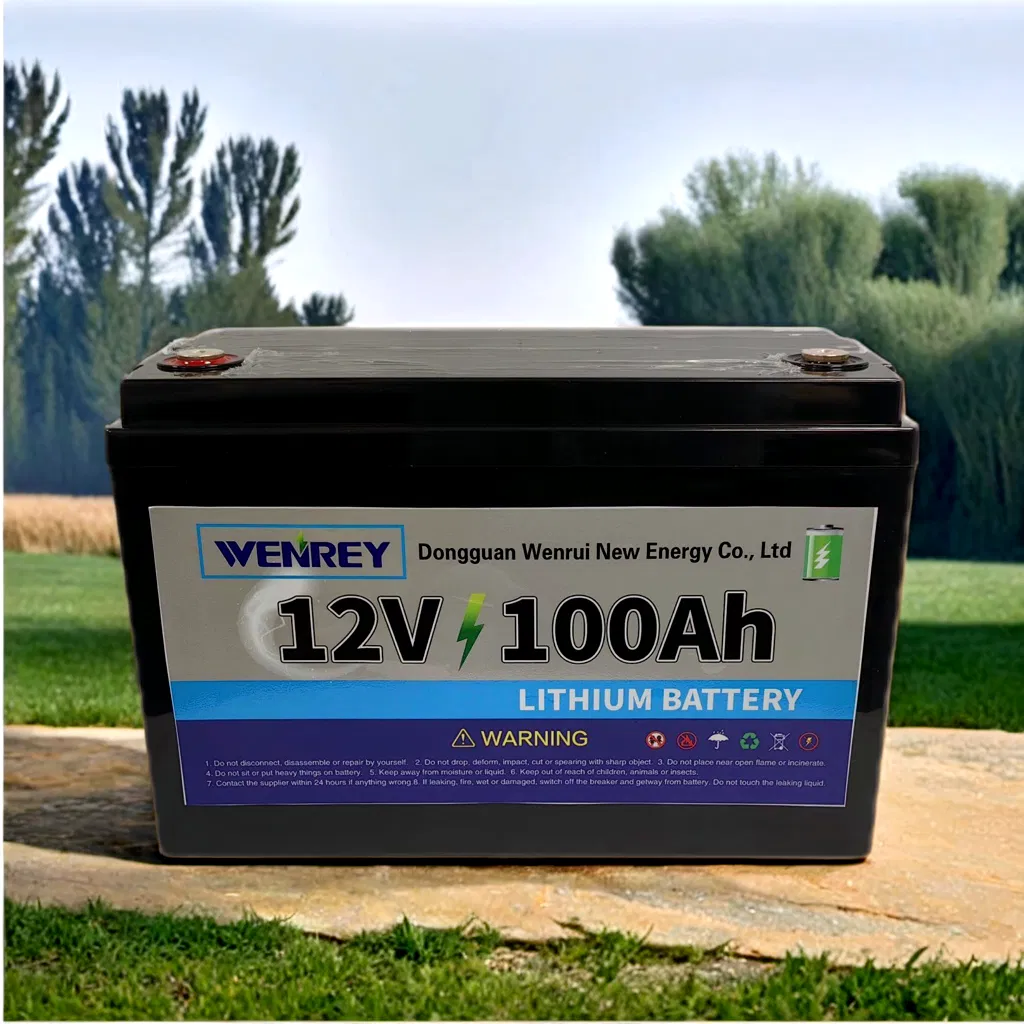 48V/30ah Optimized Lithium 12V 24V 80ah 100ah 200ah 300ah Series Batteries for Solar Golf Carts and Camping Vehicles