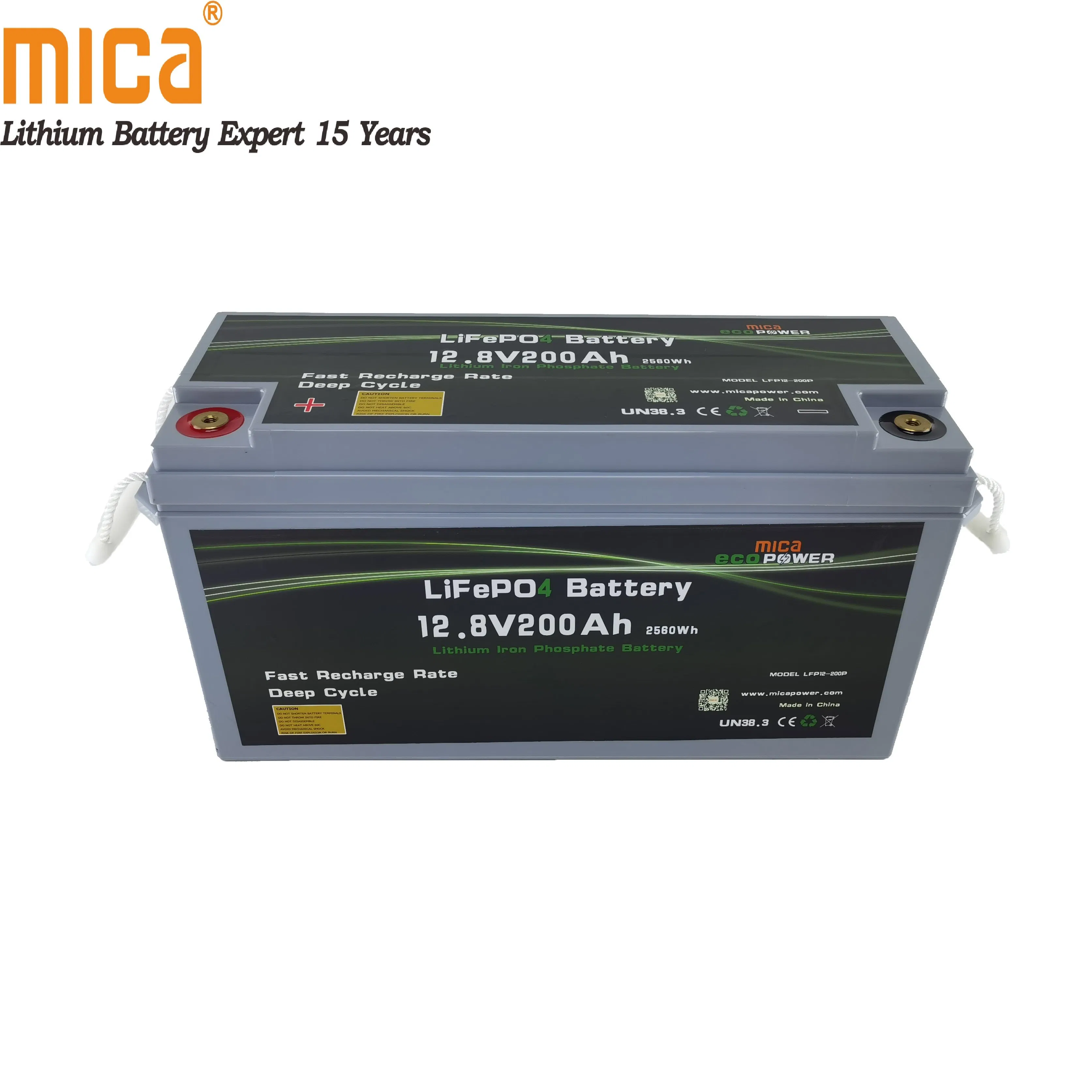 12V 24V 36V 48V 72V 100ah 200ah 50ah 150ah 250ah 80ah LiFePO4 Factory Cheap Golf Cart Vehicle Lithium Battery Pack LiFePO4 Energy Storage Battery LFP