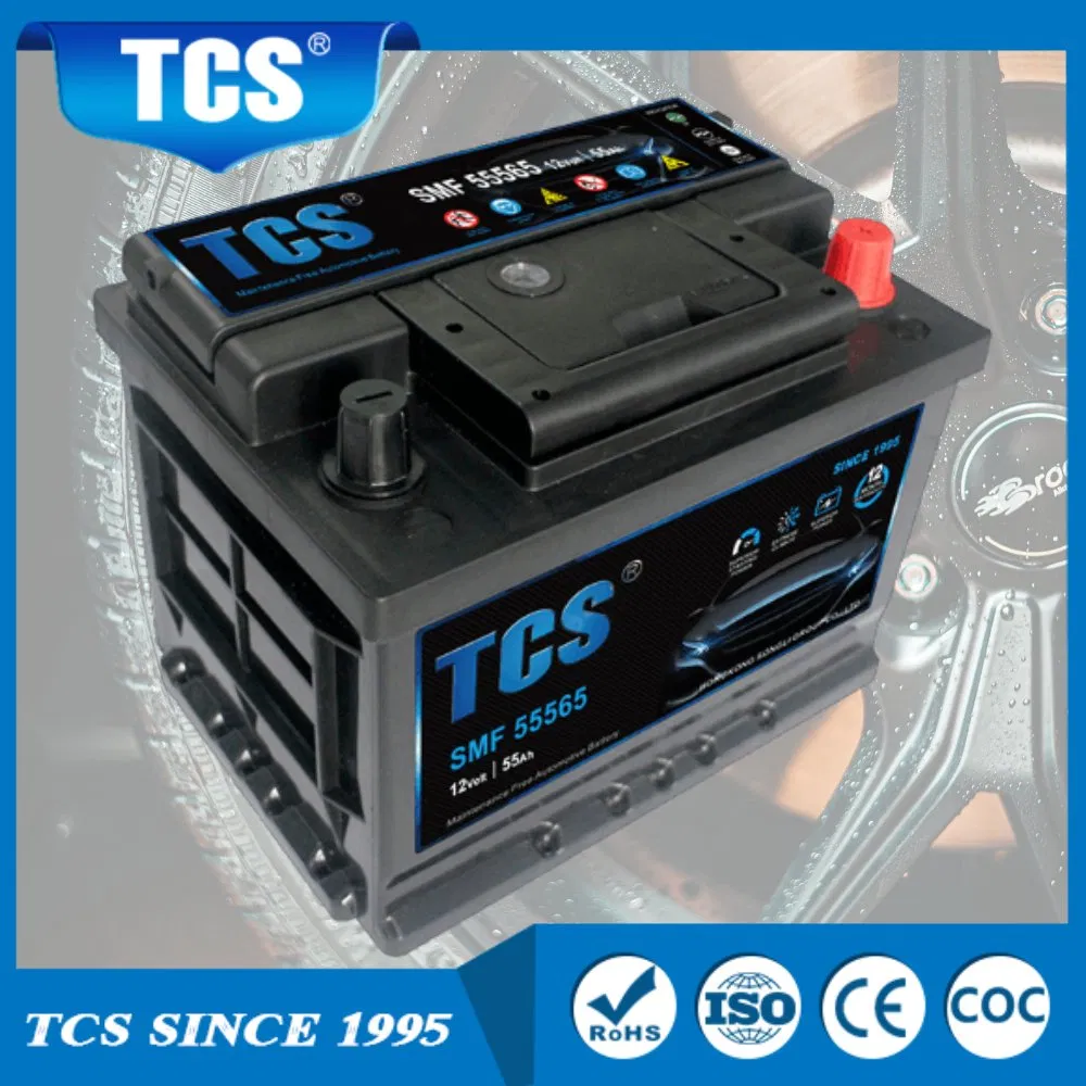 Tcs Extremely Low Self-Discharge Rate 55565mf 55ah 560CCA Traction Battery for Forklift Maintenance Free Auto Battery for DIN/European Starting Engines