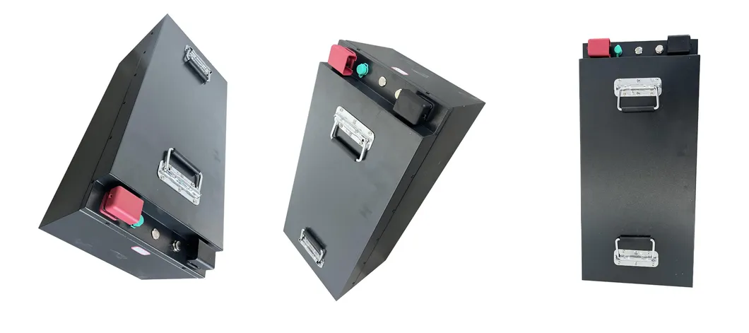 LiFePO4 Lithium Battery Pack Detailed View