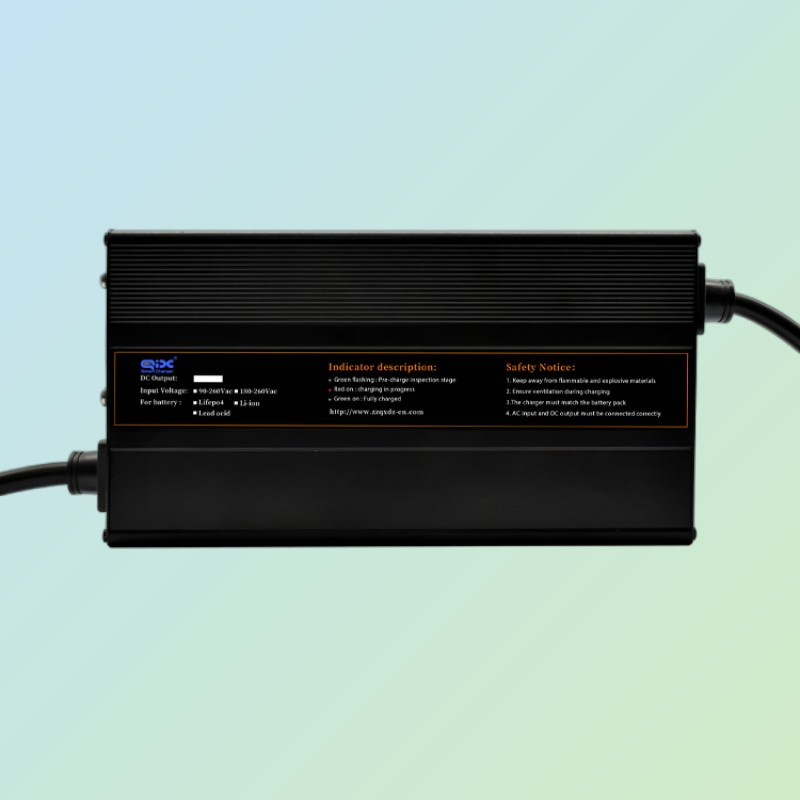 High-Capacity Portable Battery Pack for 100ah LiFePO4 Electric Bikes