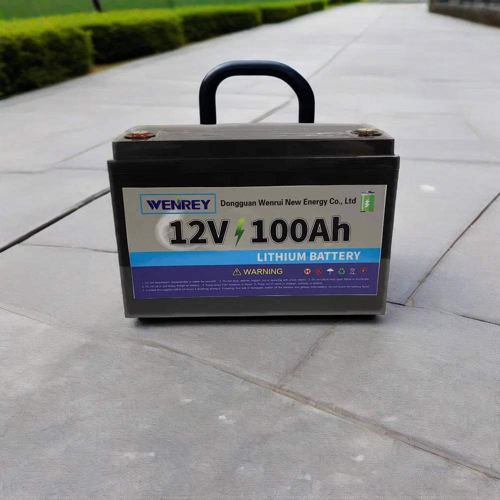 Solar Energy Storage System Lithium 12V 24V 80ah-300ah LiFePO4 Packs for Golf Carts, Camping Vehicles, and Rural Electrification